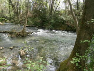 Appartamento Riquewihr Ambiente 34