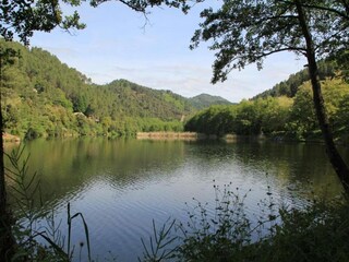 Appartement Riquewihr Omgeving 28