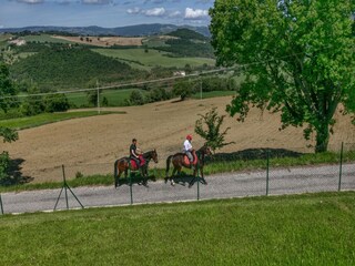 Villa Todi Environment 38