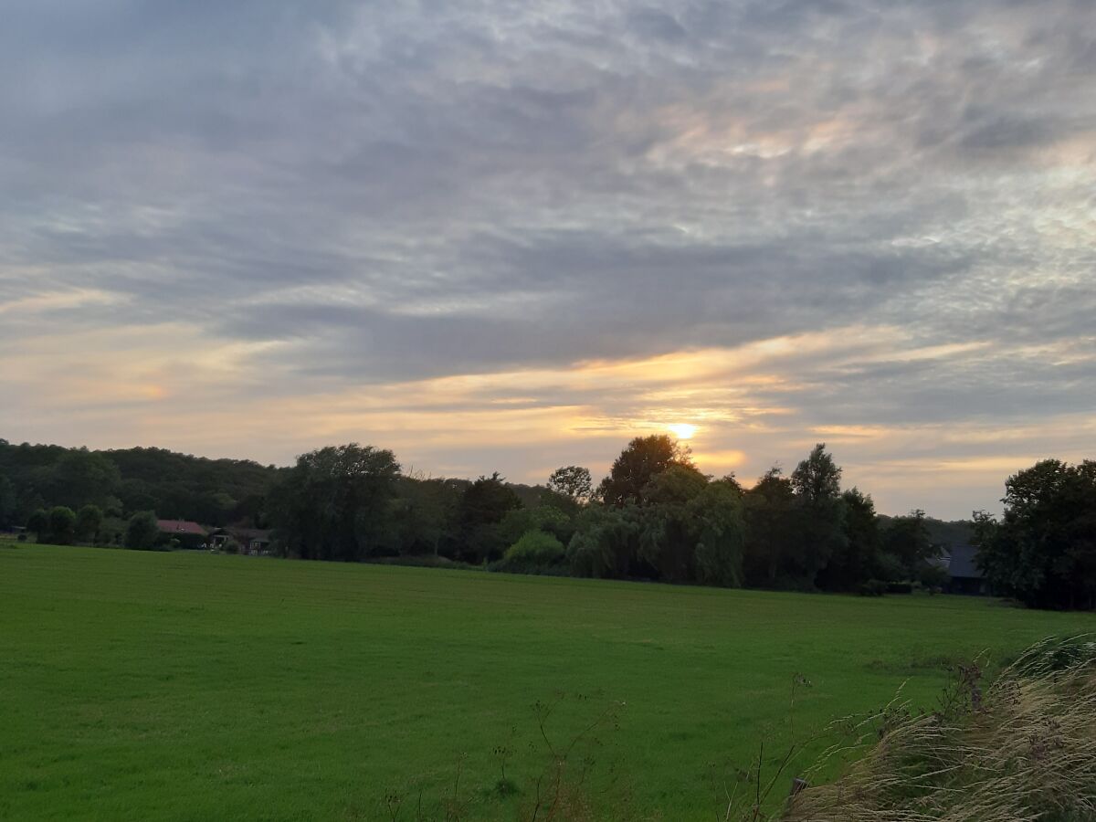 Casa per le vacanze Schoorl Ambiente 1