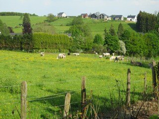 Vakantiehuis Houffalize Buitenaudio-opname 11