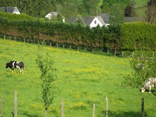 Holiday house Houffalize Environment 40