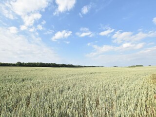 Appartement Warrenzin Buitenaudio-opname 5