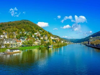 Vakantiehuis St. Goarshausen Omgeving 38