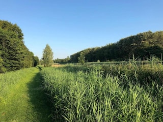 Parc de vacances Ermelo Environnement 12