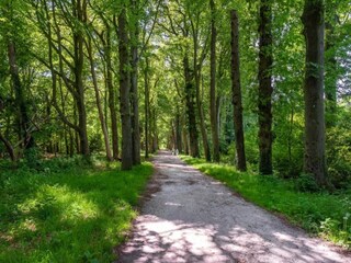 Vakantiepark Ermelo Omgeving 19