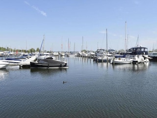 Vakantiepark Ermelo Omgeving 20