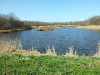Vakantiepark Ermelo Omgeving 15