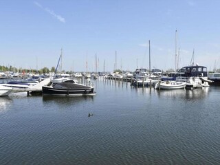 Vakantiepark Ermelo Omgeving 20