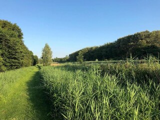 Parc de vacances Ermelo Environnement 14