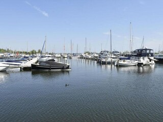 Vakantiepark Ermelo Omgeving 14