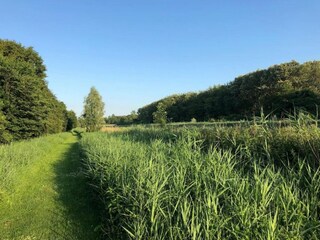 Parc de vacances Ermelo Environnement 22