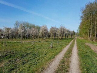 Vakantiepark Ermelo Omgeving 10