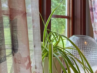 Ferienhaus Brålanda  15