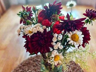 Ferienhaus Brålanda  27