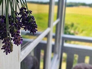 Vakantiehuis Brålanda  19