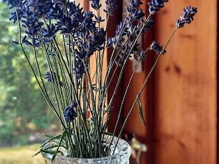 Vakantiehuis Brålanda  26