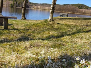 Ferienhaus Hedekas  9