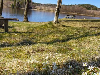 Vakantiehuis Hedekas  8