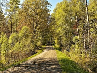 Vakantiehuis Bromölla  15