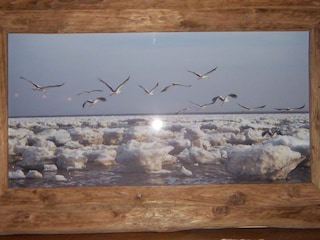 Störche im Winter am Wyker Strand.