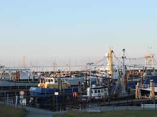 am Hafen in Wyk