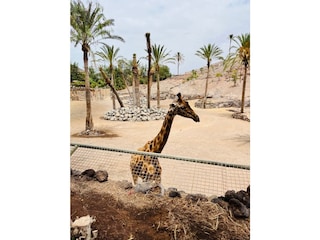 Casa per le vacanze Costa Calma Ambiente 33