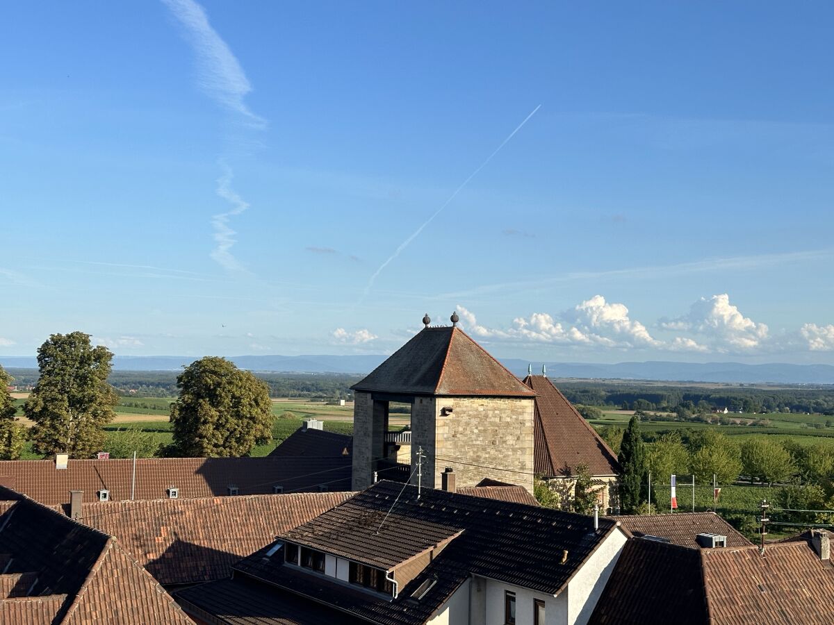 WeinTorBlick - Genuss von der Terrasse