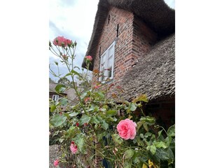 Ferienhaus Nieblum Umgebung 30