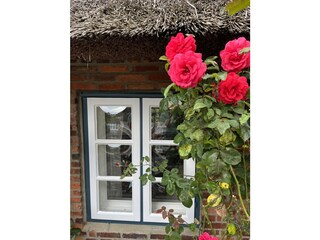 Ferienhaus Nieblum Umgebung 32