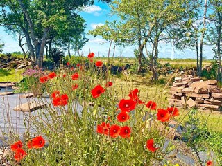 Vakantiehuis Borgholm  17