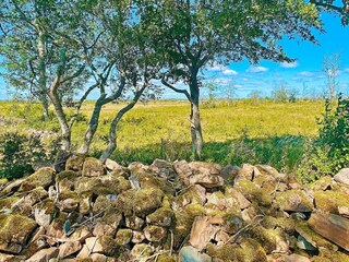 Vakantiehuis Borgholm  14