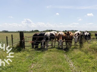 Villa Blokzijl Ambiente 35