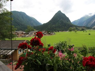 Appartement Neukirchen am Großvenediger Buitenaudio-opname 13