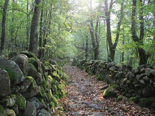 Appartement Casola in Lunigiana Environnement 36