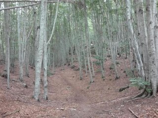 Appartement Casola in Lunigiana Environnement 32