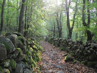 Appartamento Casola in Lunigiana Ambiente 33