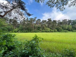 Parc de vacances Hengelo in Gelderland Environnement 27