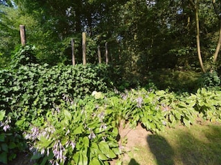 Ferienpark Hengelo in Gelderland Umgebung 24