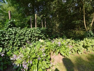 Parc de vacances Hengelo in Gelderland Environnement 24
