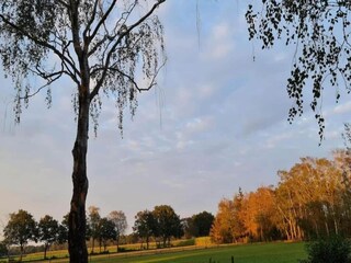 Ferienpark Hengelo in Gelderland Umgebung 35