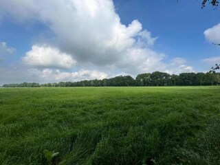 Parc de vacances Hengelo in Gelderland Environnement 33