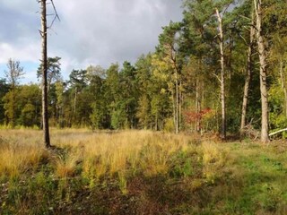 Holiday park Hengelo in Gelderland Environment 35