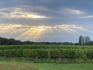 Vakantiepark Hengelo in Gelderland Omgeving 29