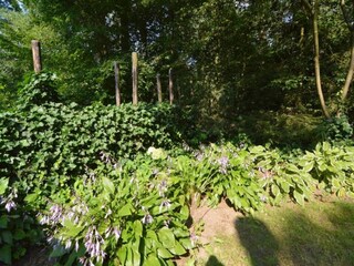 Vakantiepark Hengelo in Gelderland Omgeving 25