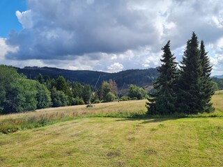 Maison de vacances Winterberg Environnement 61