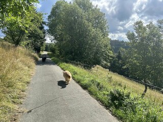 Casa per le vacanze Winterberg Registrazione all'aperto 13