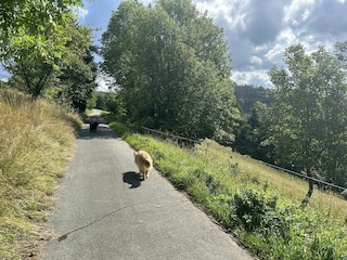 Vakantiehuis Winterberg Buitenaudio-opname 13