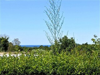 Ferienhaus Tar Außenaufnahme 14