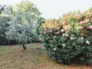 Casa per le vacanze Tar Registrazione all'aperto 16